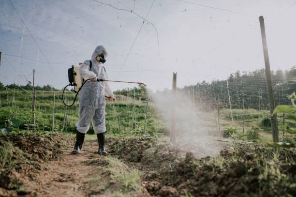 Best Best Pest Control Companies  in Harleysville, PA