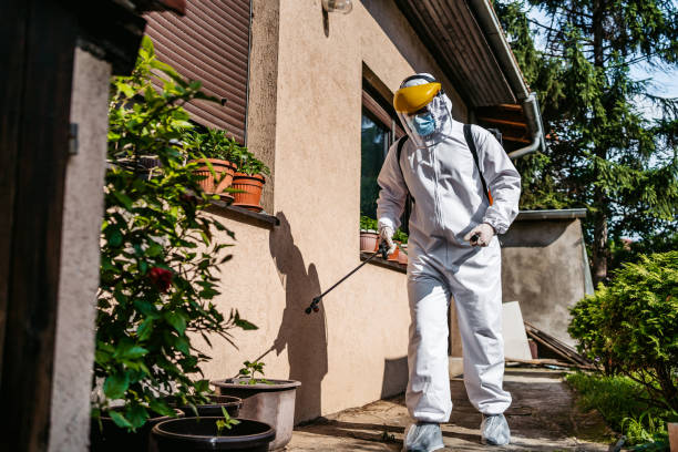 Best Affordable Pest Control Services  in Harleysville, PA