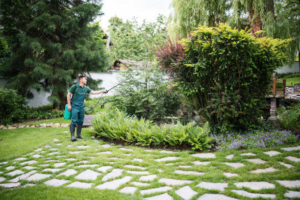 Professional Pest Control in Harleysville, PA