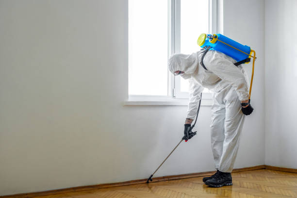 Best Residential Pest Control  in Harleysville, PA