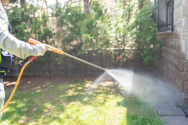 Best Local Pest Control Services  in Harleysville, PA