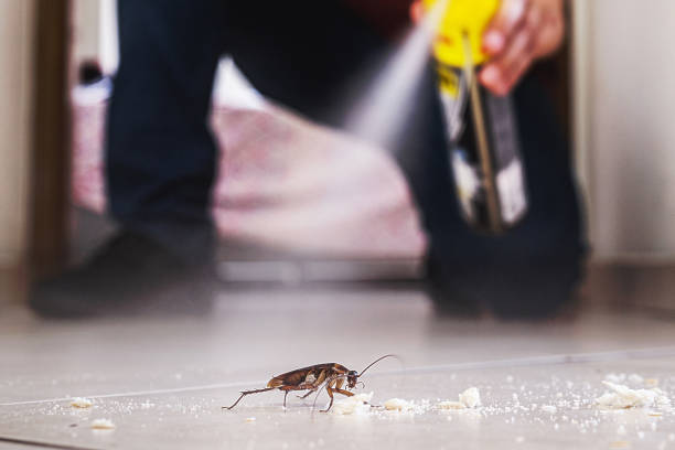 Best Insect Control  in Harleysville, PA